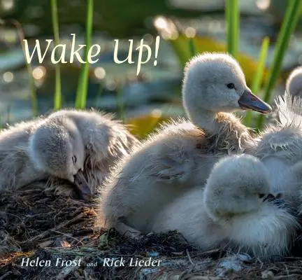 Prebuďte sa! - Wake Up!