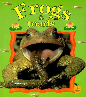 Žaby a ropuchy - Frogs & Toads