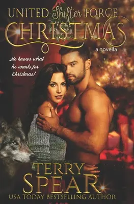 Vianoce zjednotenej sily meničov - A United Shifter Force Christmas