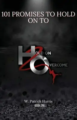 101 sľubov, ktorých sa môžete držať - 101 Promises To Hold On To