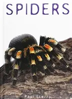 Pavúky - Spiders