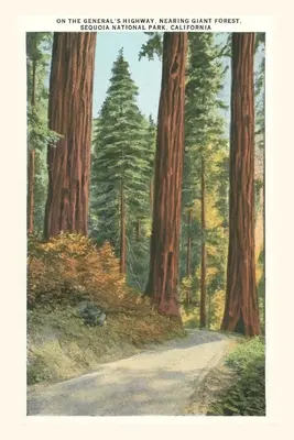 Vintage Journal Národný park Sequoia - The Vintage Journal Sequoia National Park