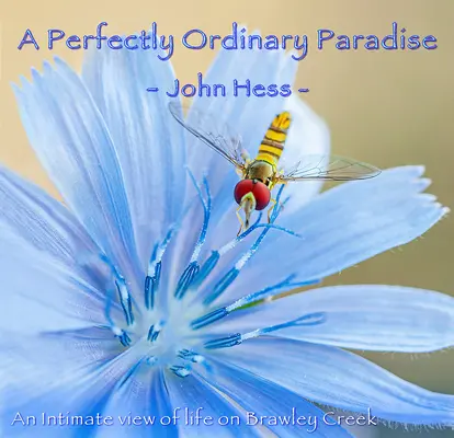 Úplne obyčajný raj: Intimný pohľad na život v Brawley Creek - A Perfectly Ordinary Paradise: An Intimate View of Life on Brawley Creek