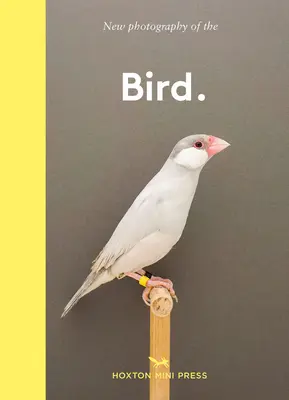 Vták. - Najlepšie nové fotografie vtákov - Bird. - The best new photography of birds