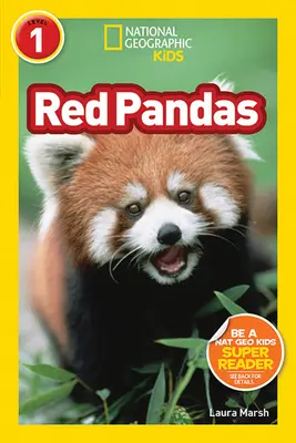 Pandy červené - Red Pandas