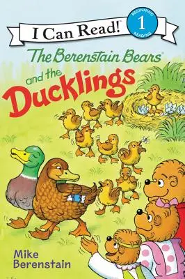 Medvedíky Berenstainové a kačičky - The Berenstain Bears and the Ducklings