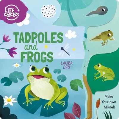 Kŕdle a žaby: Vytvorte si vlastný model! - Tadpoles and Frogs: Make Your Own Model!
