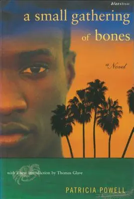 Malé zhromaždenie kostí - A Small Gathering of Bones