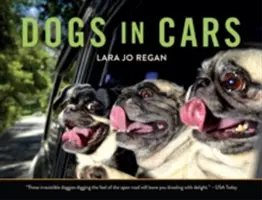Psy v autách - Dogs in Cars