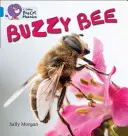 Bzučiace včely - Buzzy Bees