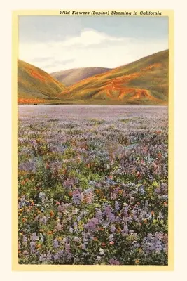Vintage Journal Divoké kvety v Kalifornii - The Vintage Journal Wildflowers in California