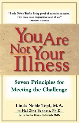 Ty nie si tvoja choroba: Sedem zásad, ako sa vyrovnať s výzvou - You Are Not Your Illness: Seven Principles for Meeting the Challenge