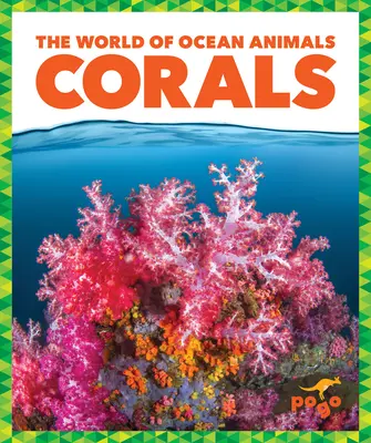 Koraly - Corals