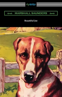 Krásny Joe - Beautiful Joe