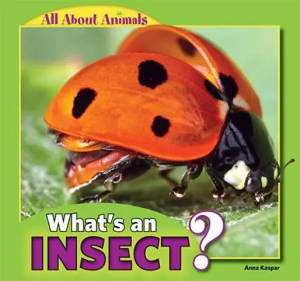 Čo je to hmyz? - What's an Insect?