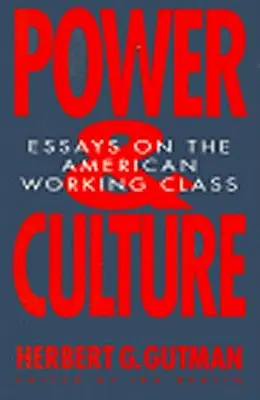 Moc a kultúra: Eseje o americkej robotníckej triede - Power and Culture: Essays on the American Working Class
