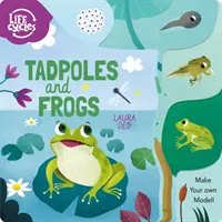 Húsenice a žaby - Vytvorte si vlastný model! - Tadpoles and Frogs - Make Your Own Model!