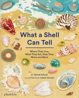 Čo dokáže povedať mušľa - What A Shell Can Tell