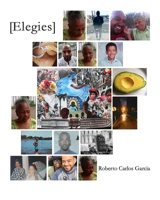 [elegie] - [elegies]