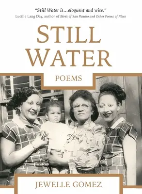 Still Water: Básne - Still Water: Poems