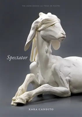 Divák - Spectator