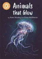 Šampión v čítaní: Oranžová 6 Literatúra faktu - Reading Champion: Animals that Glow - Independent Reading Orange 6 Non-fiction
