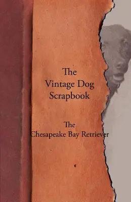 Historický album o psoch - Chesapeake Bay Retriever - The Vintage Dog Scrapbook - The Chesapeake Bay Retriever