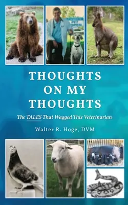Myšlienky na moje myšlienky - Thoughts On My Thoughts