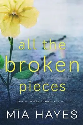 Všetky rozbité kúsky - All The Broken Pieces