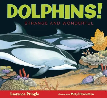 Delfíny! - Dolphins!