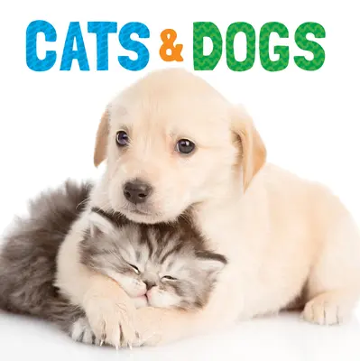 Mačky a psy - Cats & Dogs