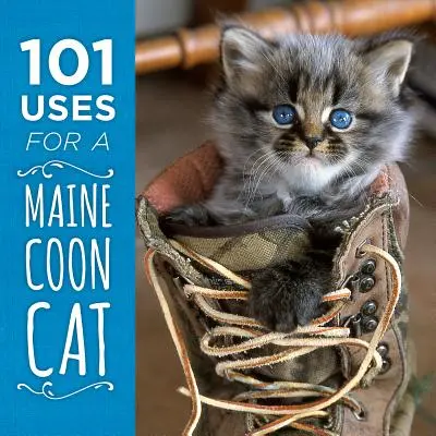 101 využití mainskej mývalej mačky - 101 Uses for a Maine Coon Cat