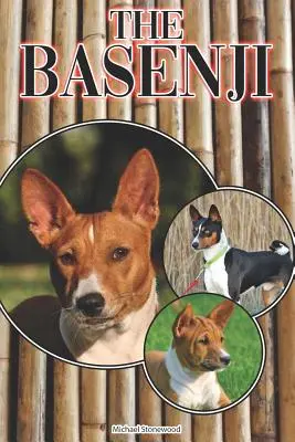 Basenji: Úplný a komplexný sprievodca pre začiatočníkov: Kúpa, vlastníctvo, zdravie, starostlivosť, výcvik, poslušnosť, porozumenie - The Basenji: A Complete and Comprehensive Beginners Guide To: Buying, Owning, Health, Grooming, Training, Obedience, Understanding