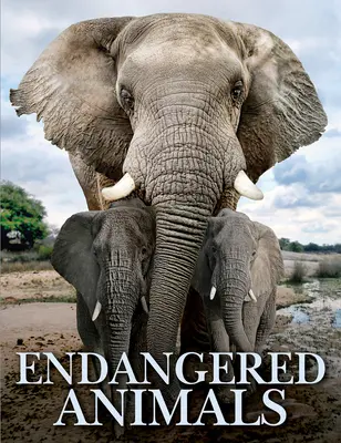 Ohrozené zvieratá - Endangered Animals