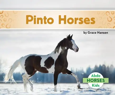 Kone pinto - Pinto Horses