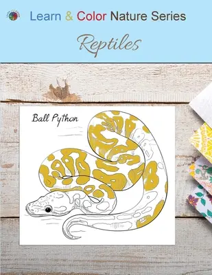 Plazy - Reptiles