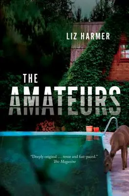 Amatéri - The Amateurs
