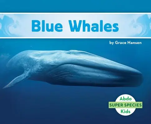 Modré veľryby - Blue Whales