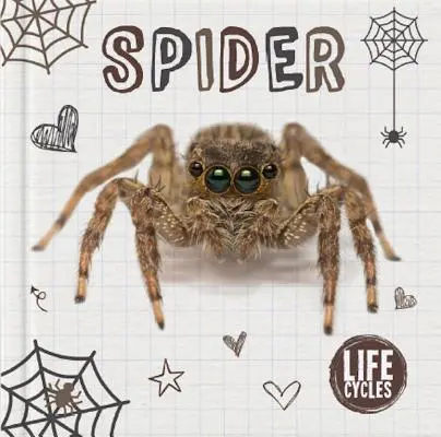 Pavúk - Spider