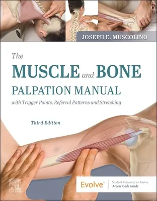 Príručka palpácie svalov a kostí so spúšťacími bodmi, referenčnými vzormi a strečingom - The Muscle and Bone Palpation Manual with Trigger Points, Referral Patterns and Stretching