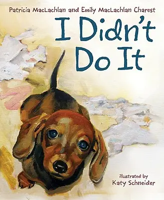 Ja som to neurobil - I Didn't Do It