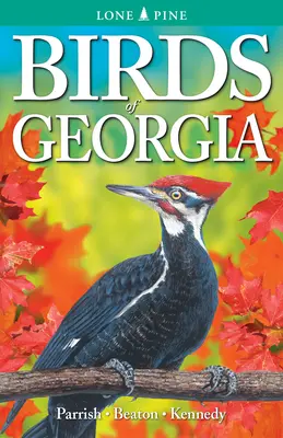 Vtáky Gruzínska - Birds of Georgia