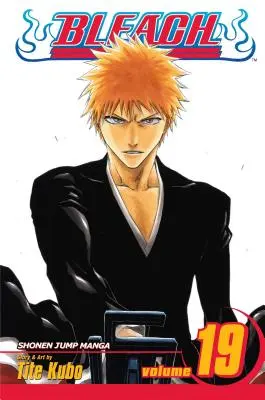 Bleach, zv. 19: zväzok 19 - Bleach, Vol. 19: Volume 19
