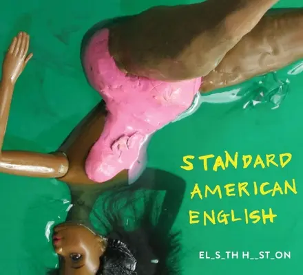 Štandardná americká angličtina - Standard American English