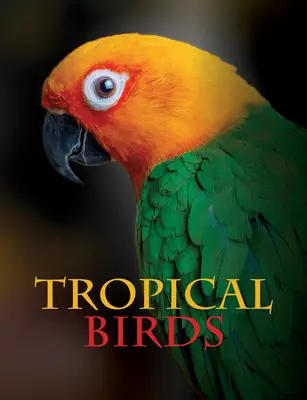 Tropické vtáky - Tropical Birds