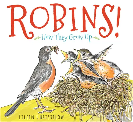 Robins!: Ako vyrastajú - Robins!: How They Grow Up