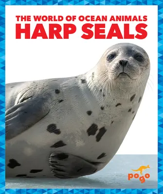 Tulene harfové - Harp Seals