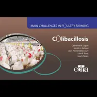 Kolibacilóza - hlavné problémy v chove hydiny - Colibacillosis - Main Challenges in Poultry Farming