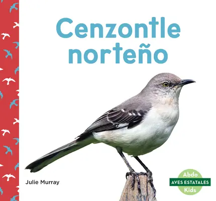 Cenzontle Norteo (Severné drozdy) - Cenzontle Norteo (Northern Mockingbirds)