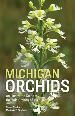 Michiganské orchidey - Michigan Orchids